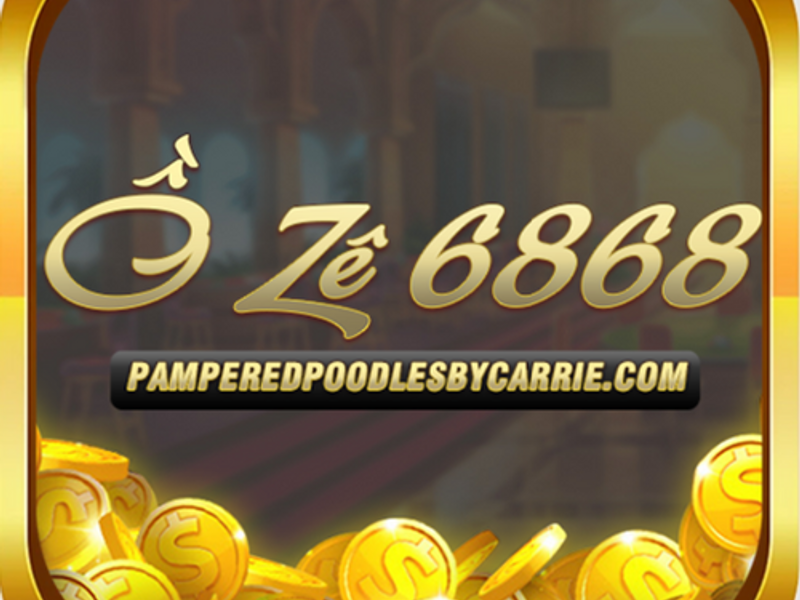 pamperedpoodlesbycarrie