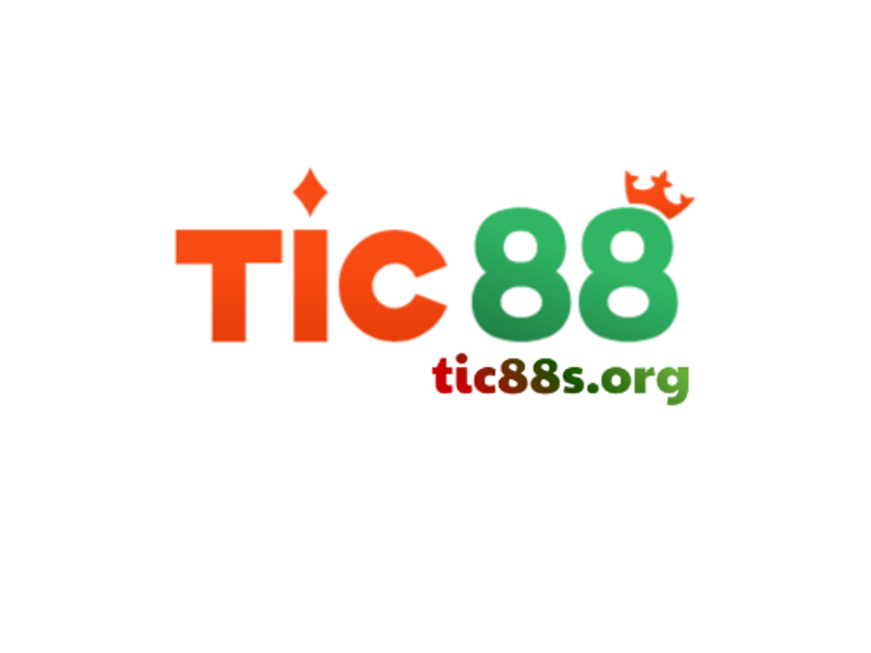 tic88sorg