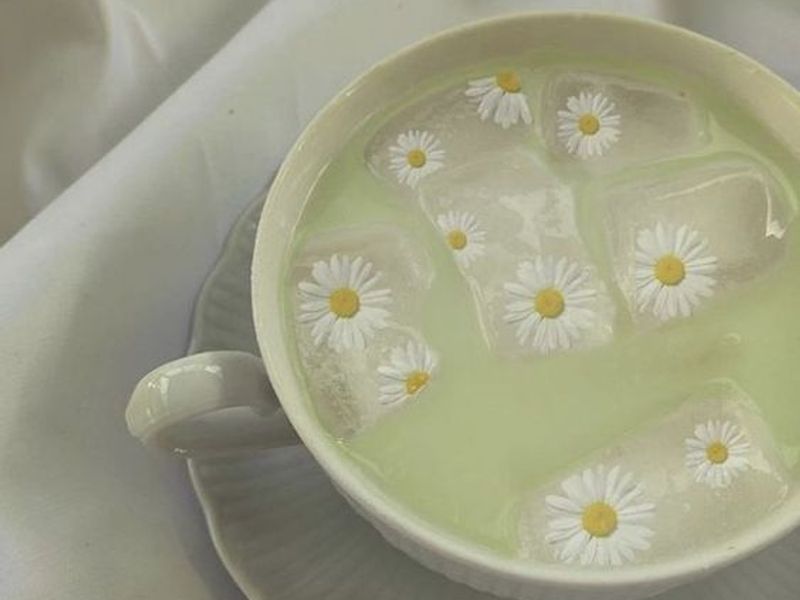 dailydaisy