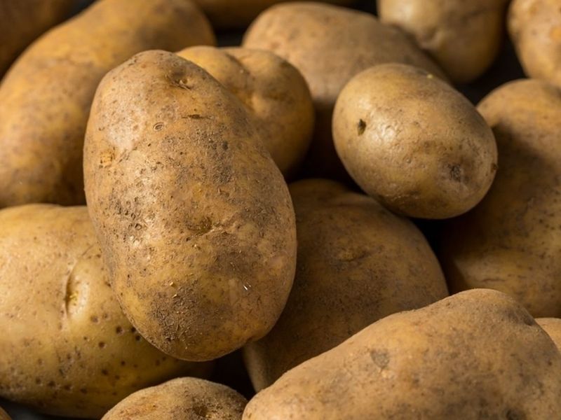 npotatosuppliers