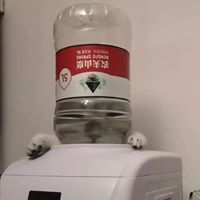 Gemlouie