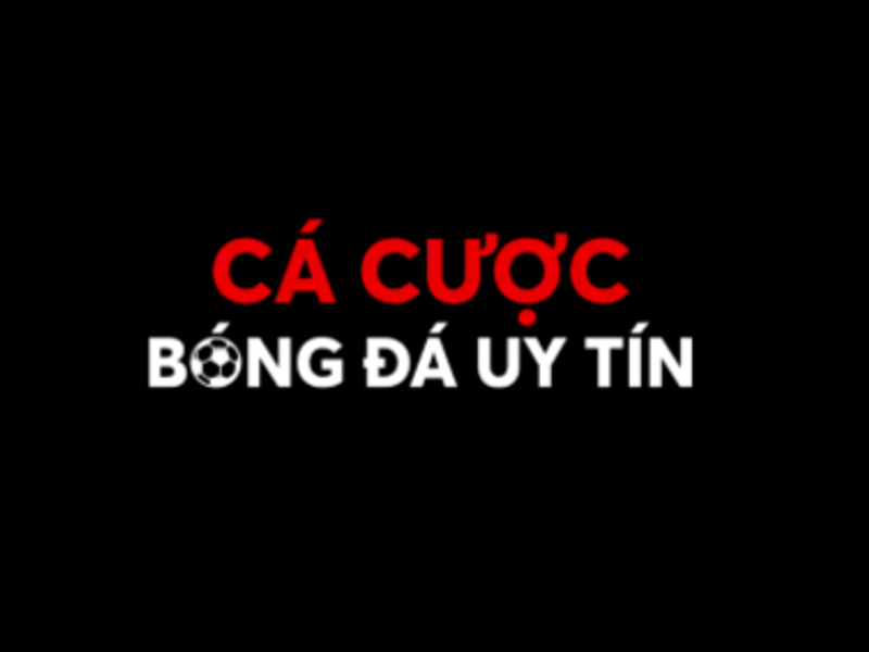 cacuocbongda1