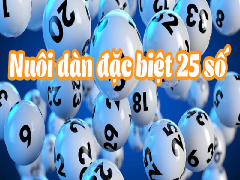 nuoidande25sok