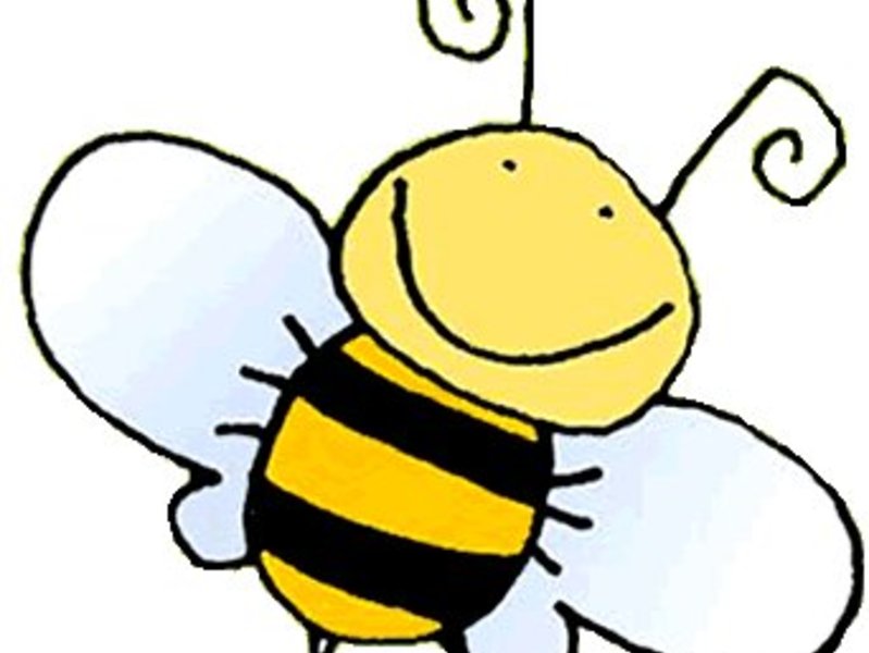bumblebee