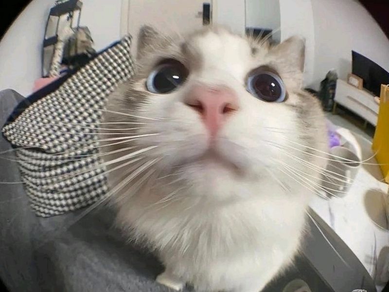 nguyenthingocchau1642