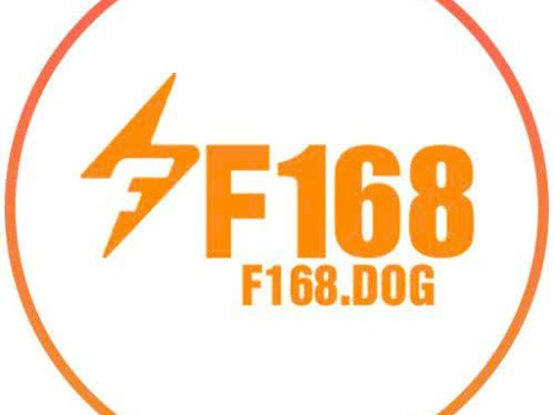 f168dog