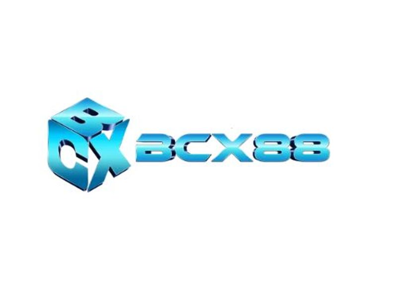 bcx88work