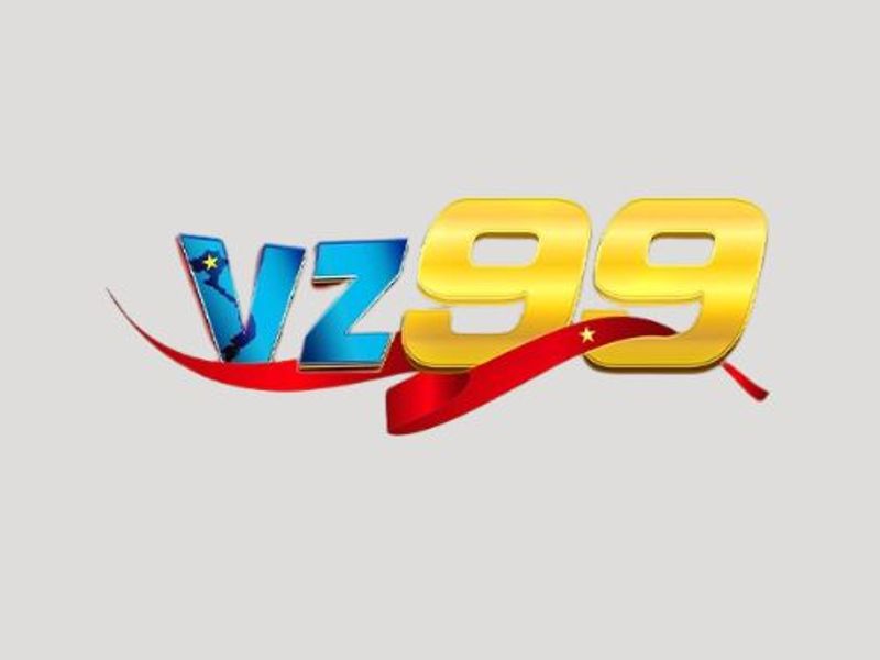 vz99solutions