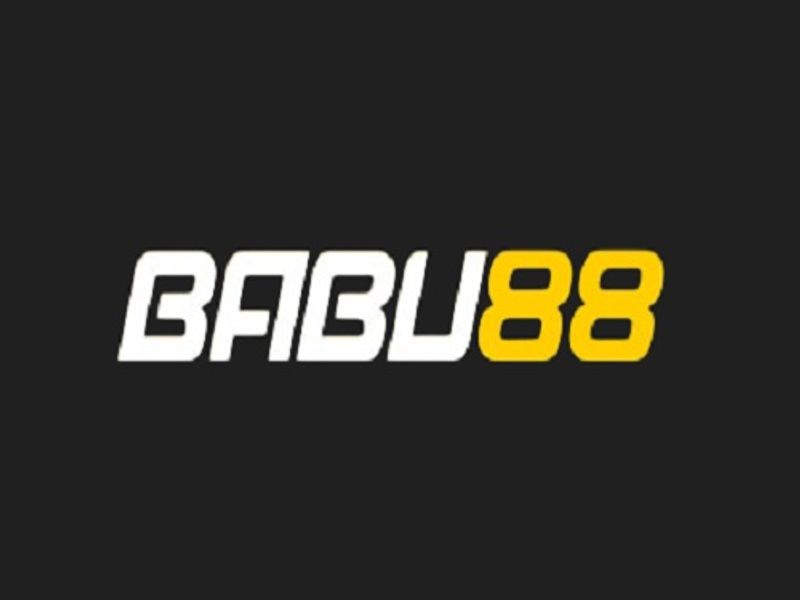 babu881org