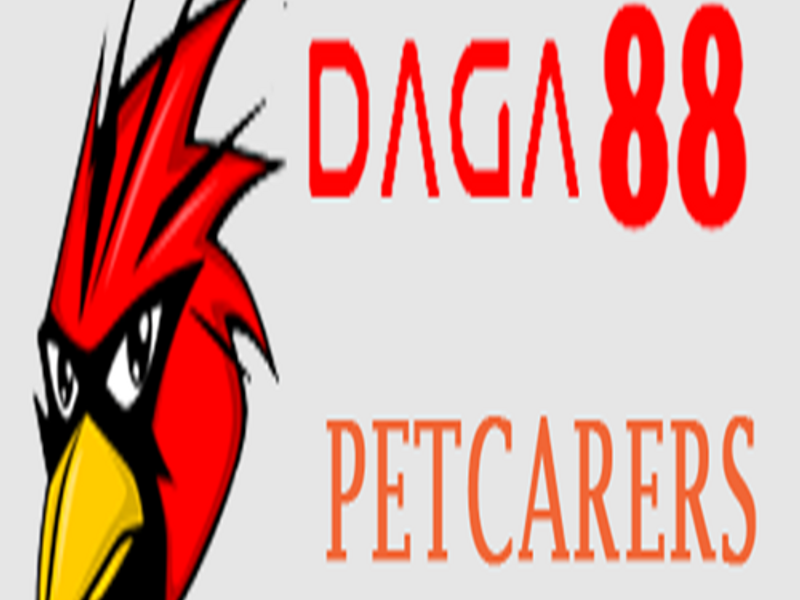 daga88pet1