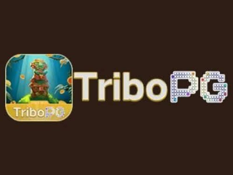 tribopgnetbr1
