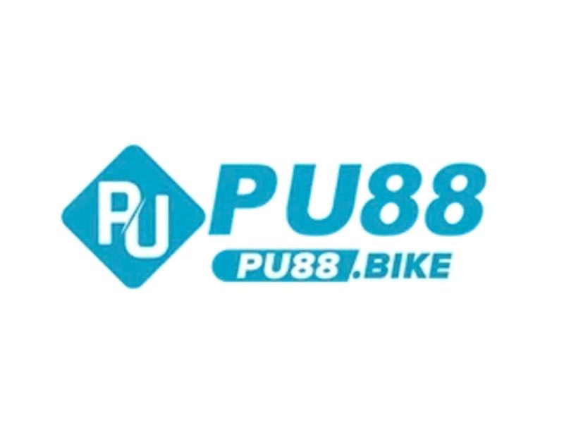 pu88bike