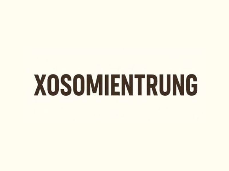 xosomientrungone