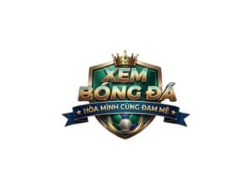 xembongdaltn