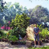 Giang084