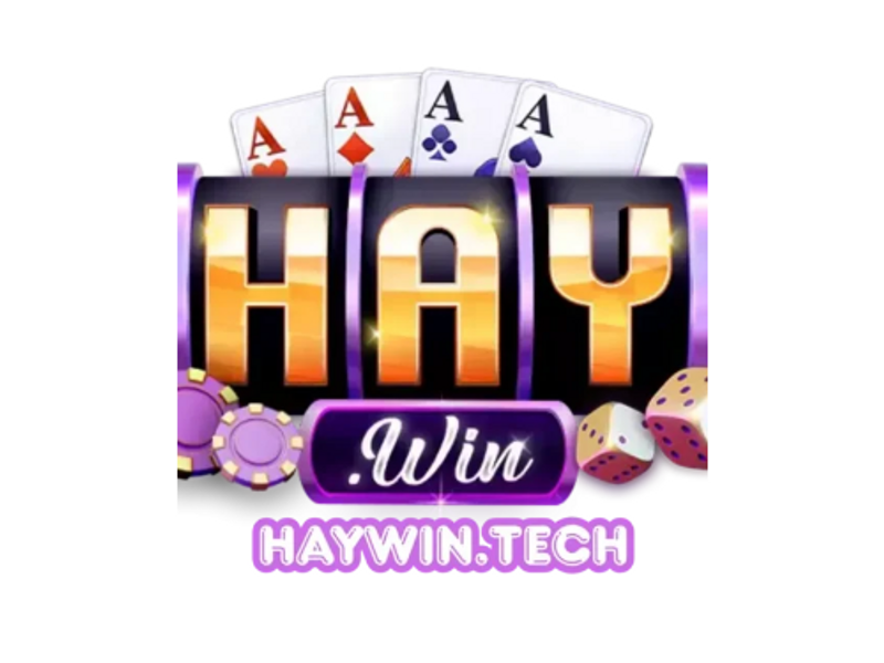 haywintech1