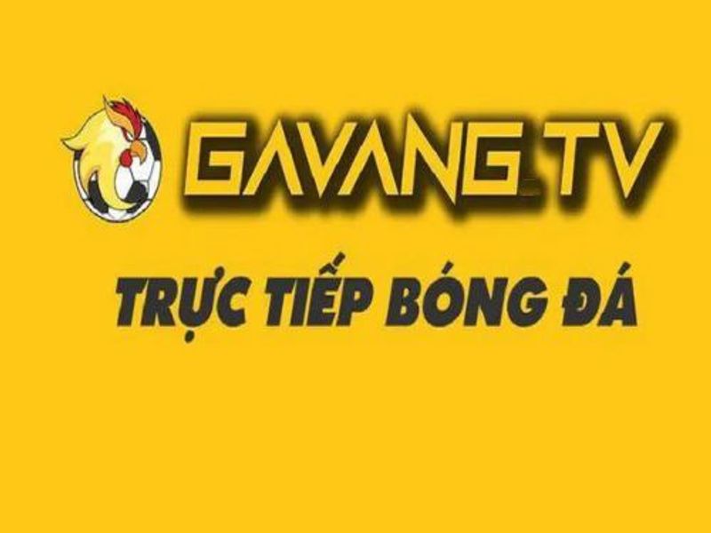 gavangtvspace