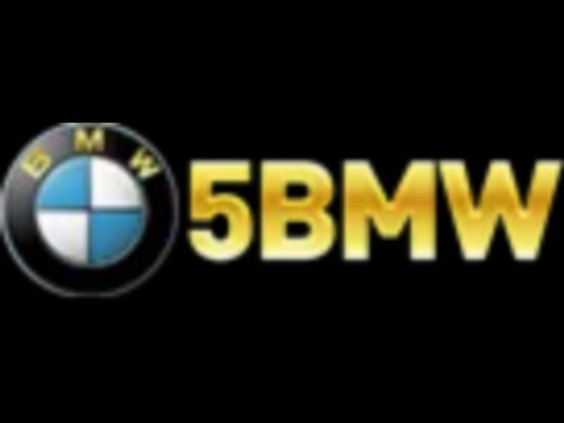55bmwnetph1