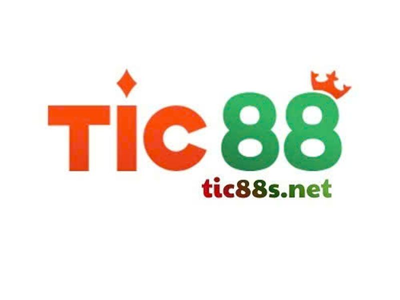 tic88snet