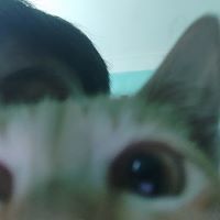 taductn