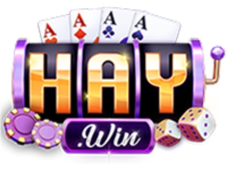 9haywincomtop