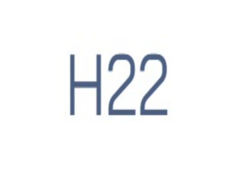h22biz