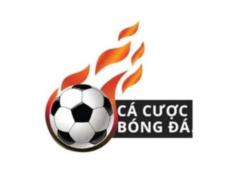 cacuocbongdaone