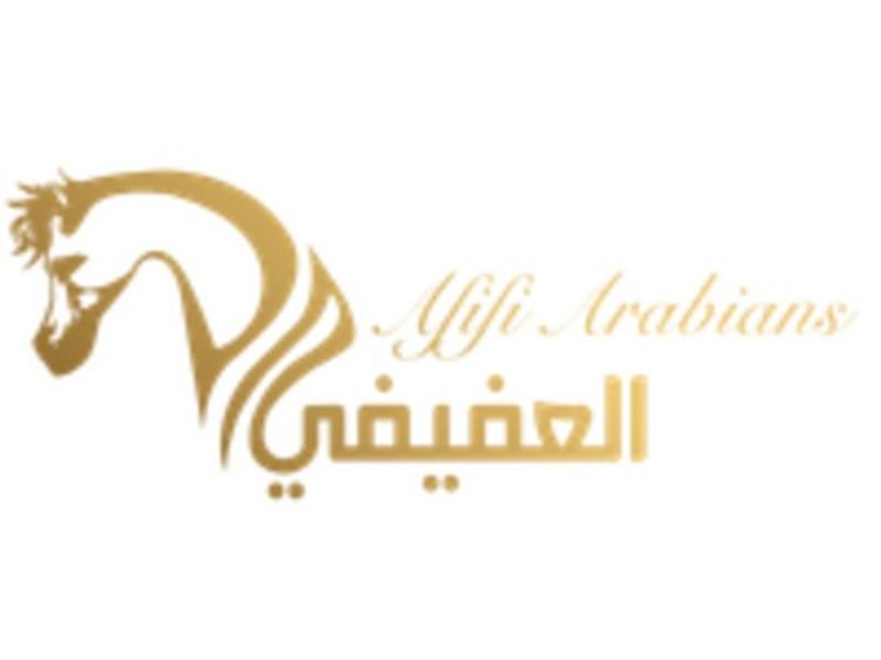 afifiarabians