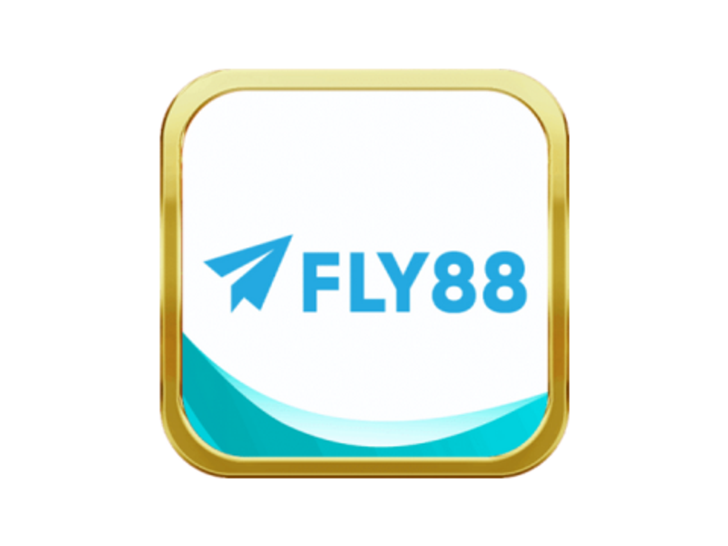 fly88foundation