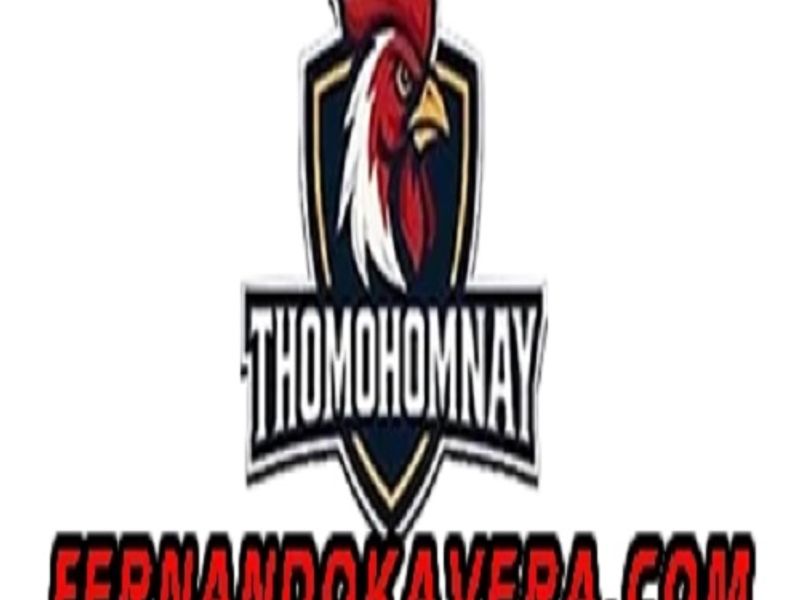 thomohomnayfernan