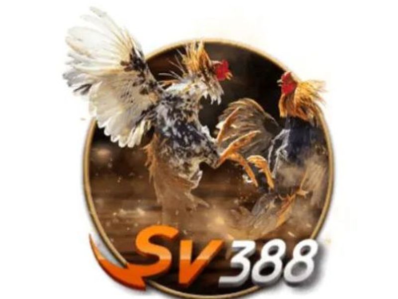 sv388sarl