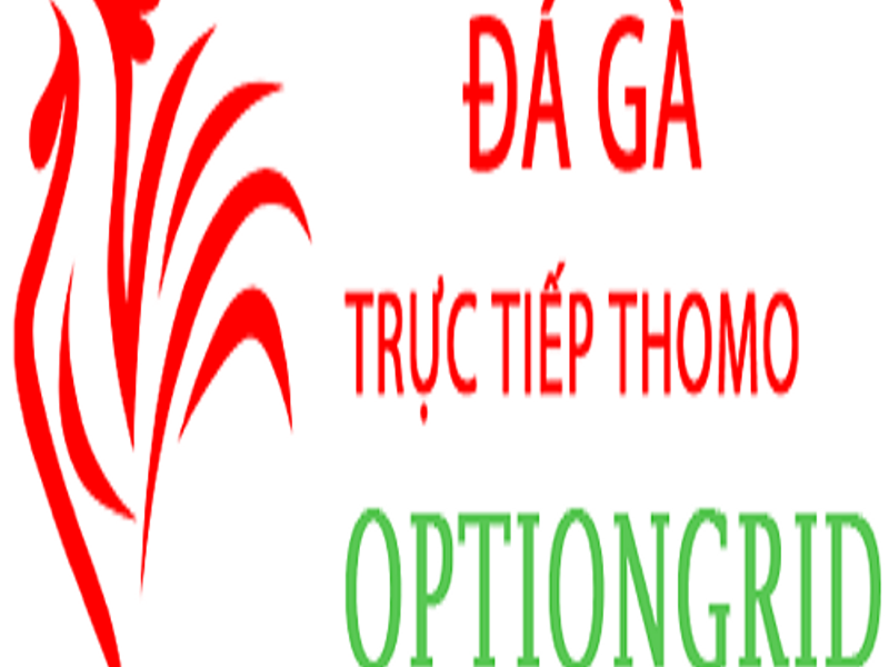 dagaoption