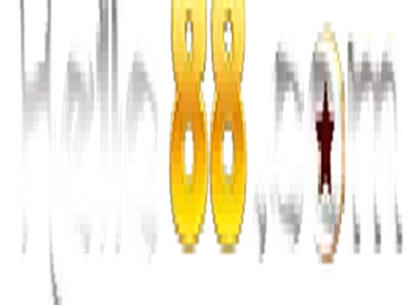 hello88goitcom