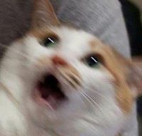 ilikebread
