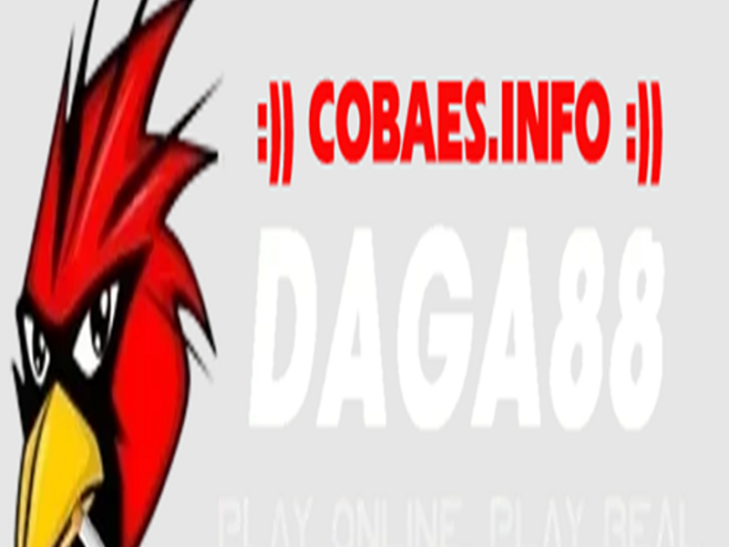 daga88cobaes
