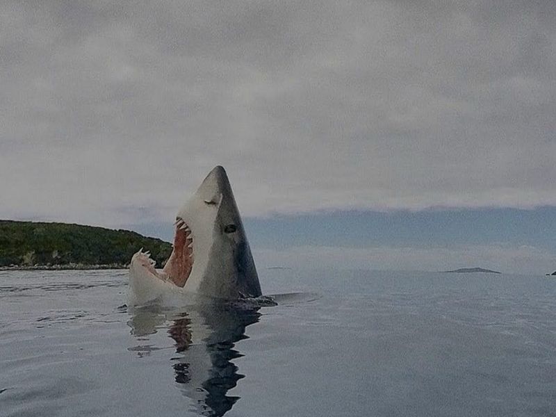 hoaithi_thewritter15