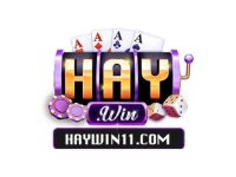 haywin11com