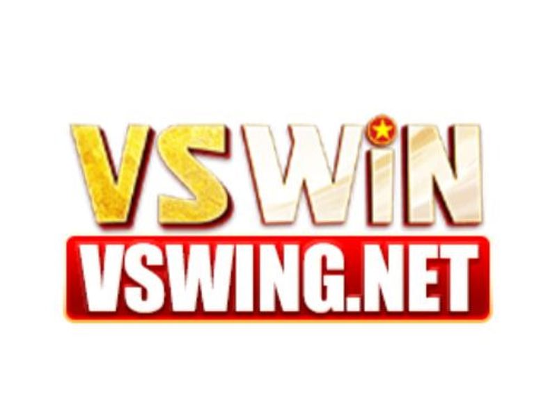 vswingnet