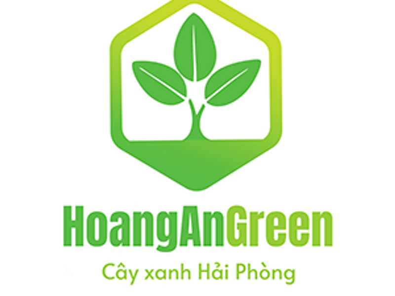 Hoangangreen