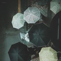 lilwallfloral