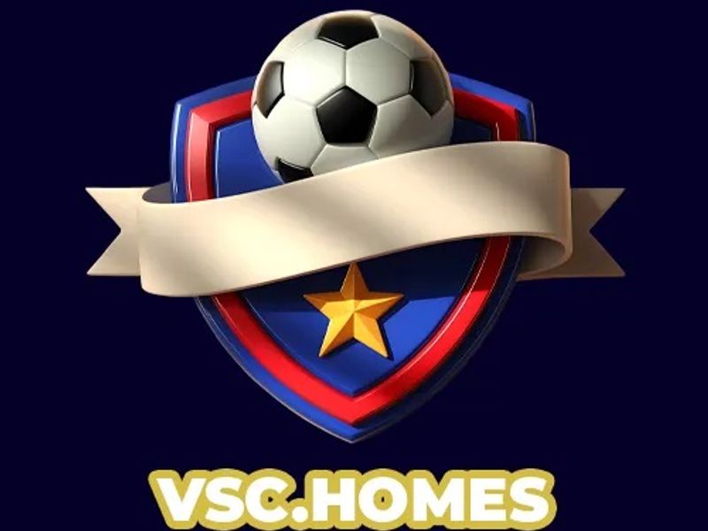 vschomes