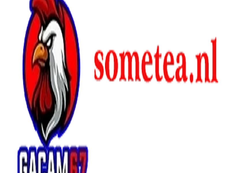 gacam67sometea