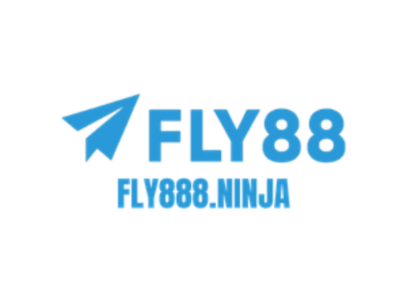 fly888ninja