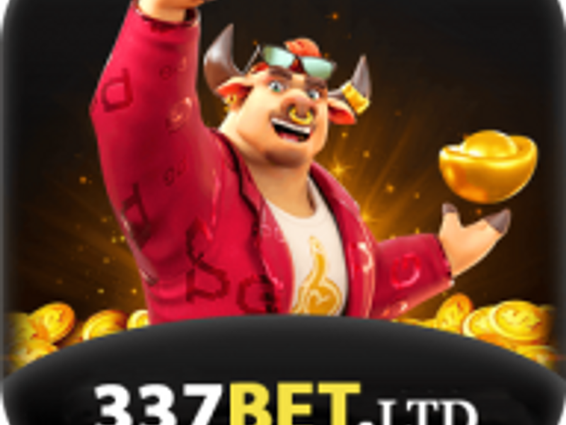 337betltdvn