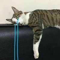 nhungmiuu
