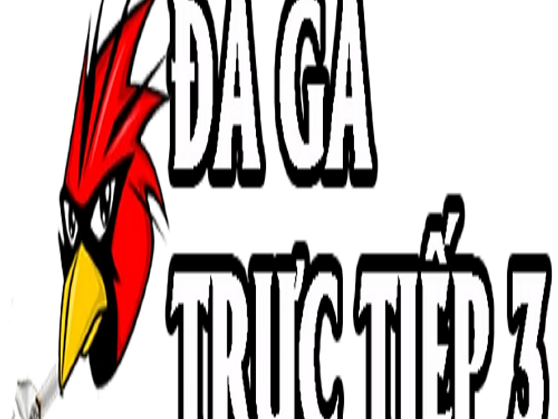 dagatructiep3dhi