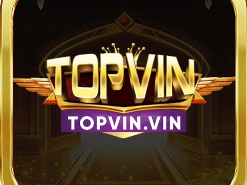 topvinvin