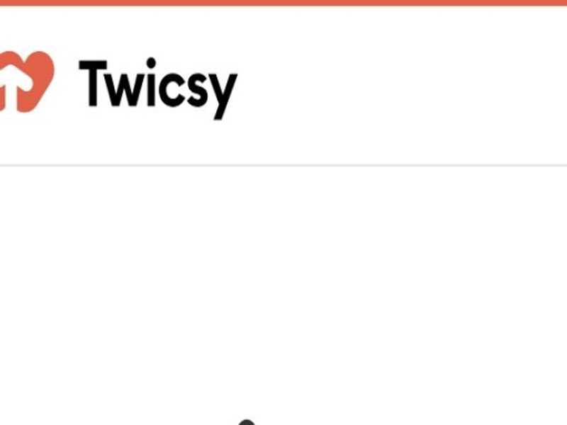 twicsynokjopinsfolgere