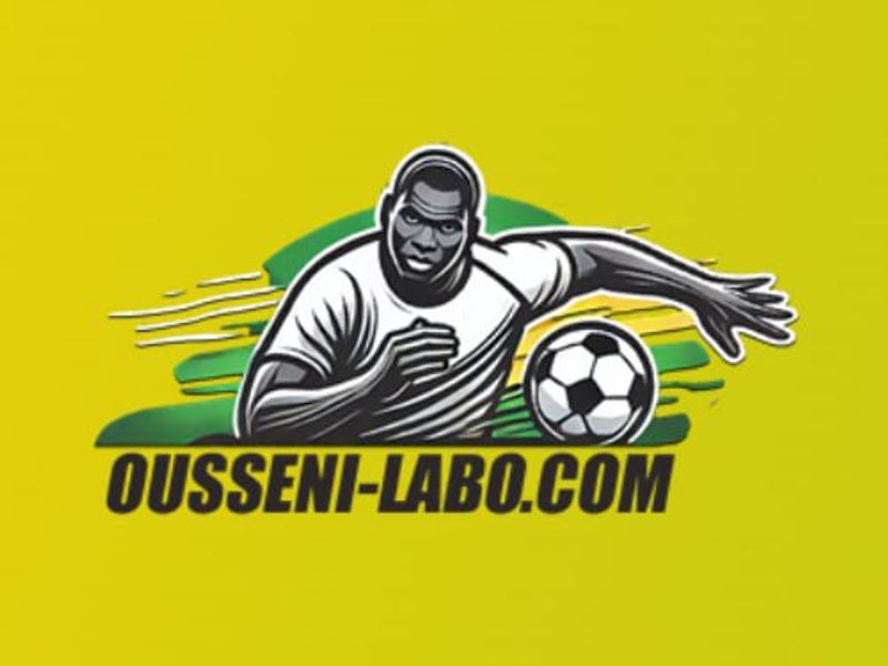oussenilabocom