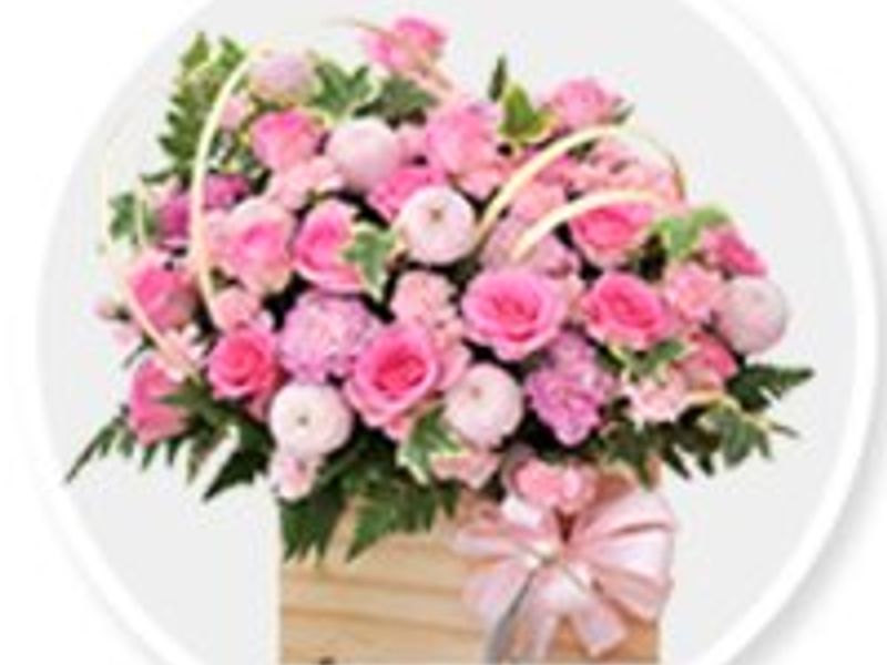 shophoatuoilongancom